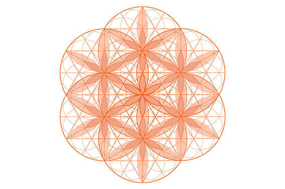 I am the Flower of Life. I am not just a symbol. I am a living map an ancient code that holds the very architecture of existence.